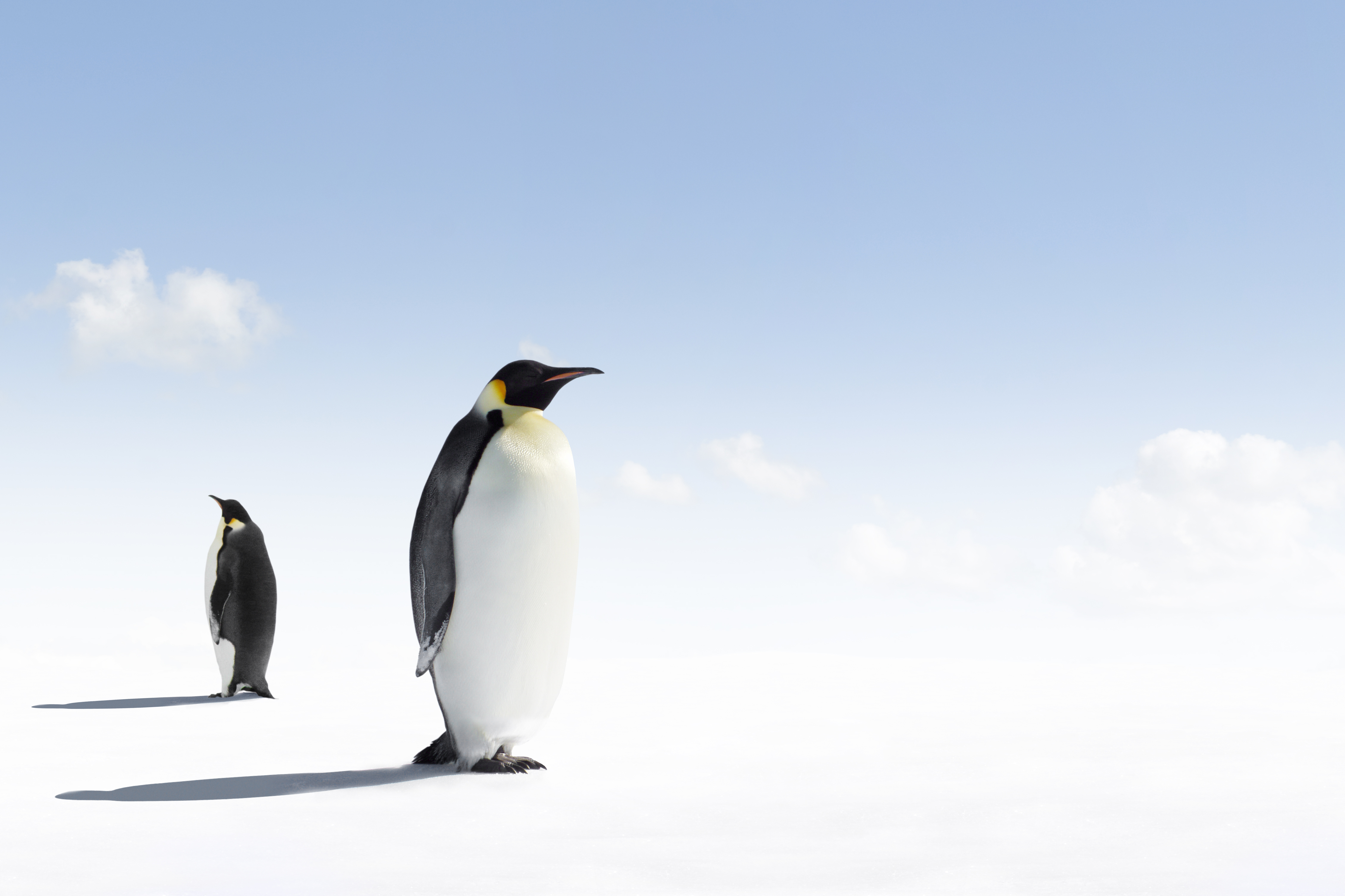 blog image Compiling the Linux Kernel for Embedded Systems